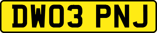 DW03PNJ