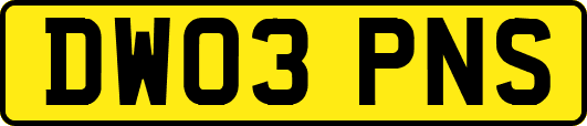 DW03PNS
