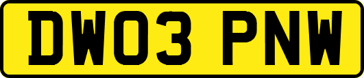 DW03PNW