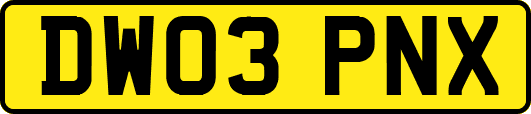 DW03PNX