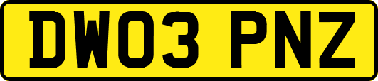 DW03PNZ