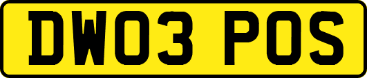 DW03POS
