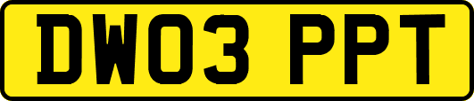 DW03PPT