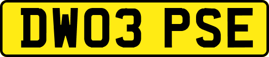 DW03PSE