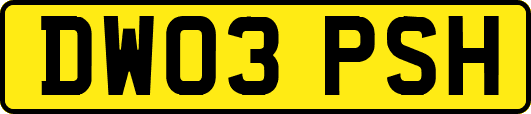 DW03PSH