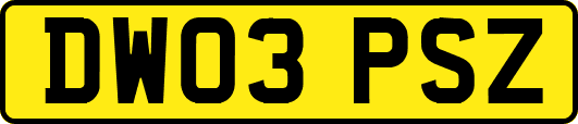 DW03PSZ
