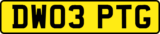 DW03PTG