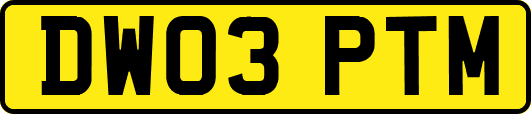 DW03PTM