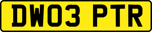 DW03PTR