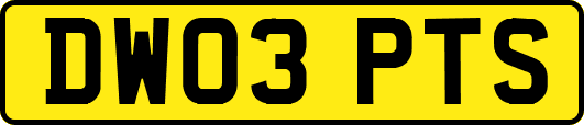 DW03PTS