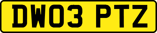 DW03PTZ