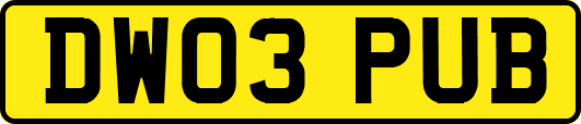 DW03PUB