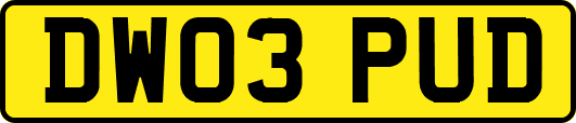 DW03PUD