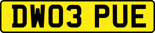 DW03PUE