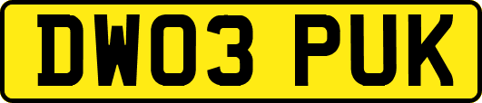 DW03PUK