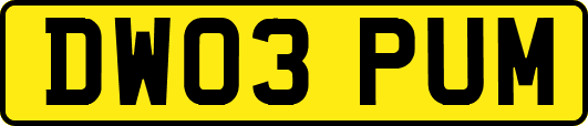 DW03PUM
