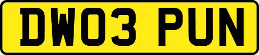 DW03PUN