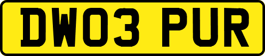 DW03PUR