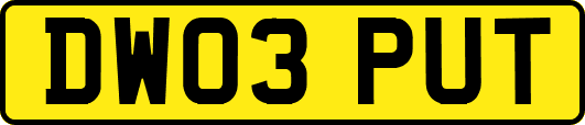 DW03PUT