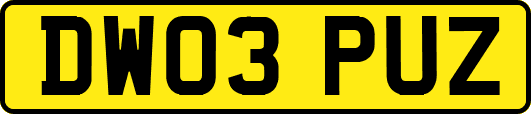 DW03PUZ