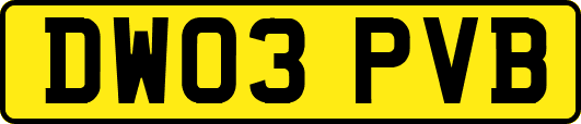 DW03PVB