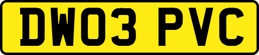 DW03PVC