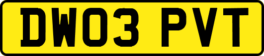 DW03PVT
