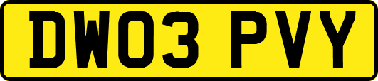 DW03PVY