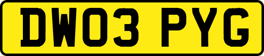 DW03PYG