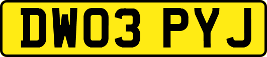 DW03PYJ