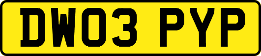 DW03PYP