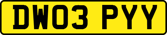 DW03PYY