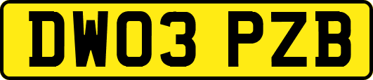 DW03PZB