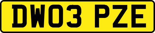 DW03PZE