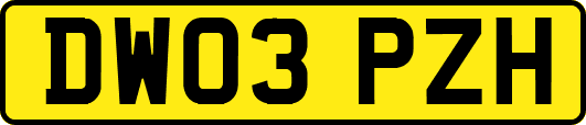 DW03PZH