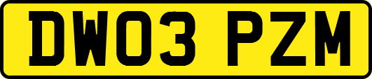 DW03PZM