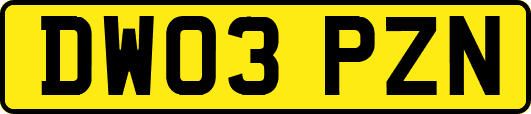 DW03PZN