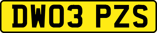 DW03PZS