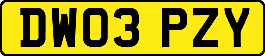 DW03PZY