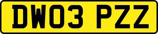 DW03PZZ