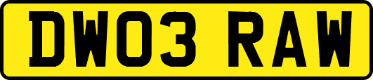 DW03RAW