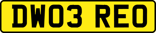 DW03REO
