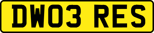 DW03RES