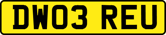 DW03REU