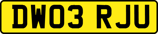 DW03RJU