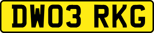 DW03RKG