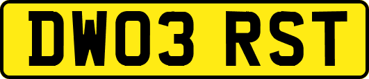 DW03RST