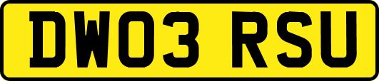 DW03RSU