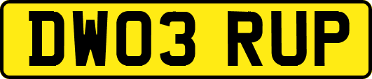 DW03RUP