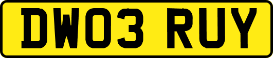 DW03RUY